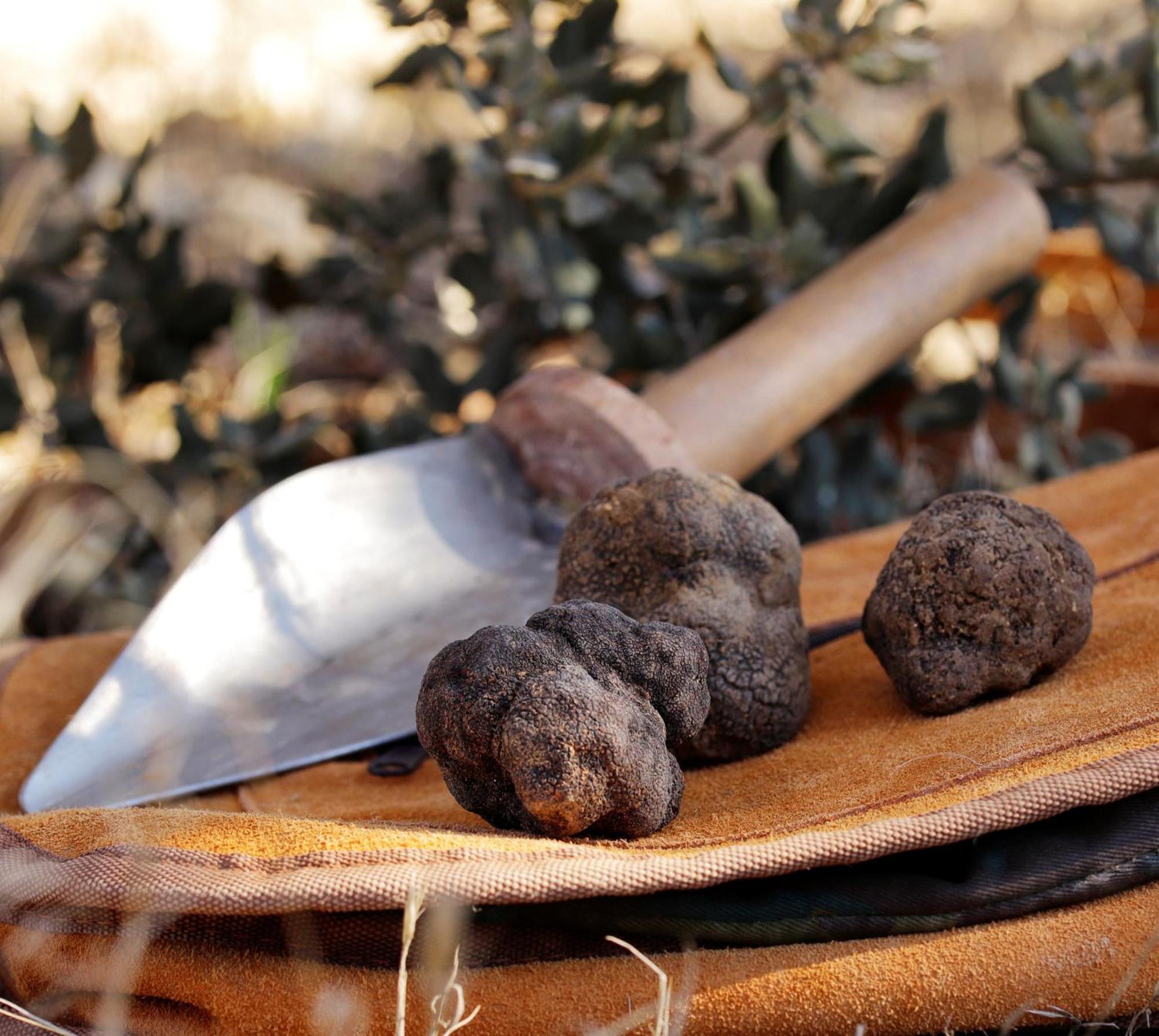 Aromas Del Jiloca, Tierra De Trufas Apartment Calamocha Bagian luar foto